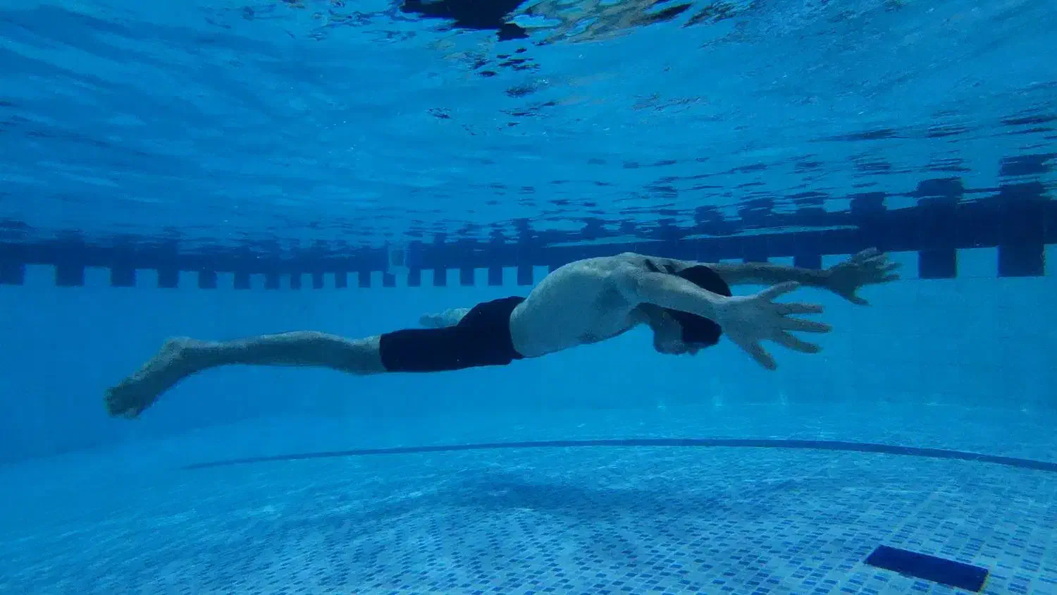 بلیط استخر الوند نیم بها|بلیت ورزشی|قم, باغ کرباسی|دیوار