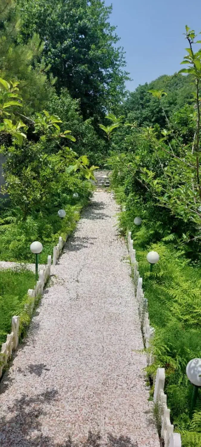 ویلای ساحلی سند دار ۱۰۰ قدمی ساحل شفارود|فروش خانه و ویلا|رضوانشهر, |دیوار