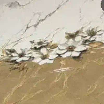 سرامیک کار لوتان|خدمات پیشه و مهارت|سراوان, |دیوار