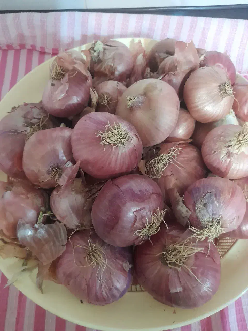 پیاز بومی درجه یک|حراج|مبارکه, |دیوار