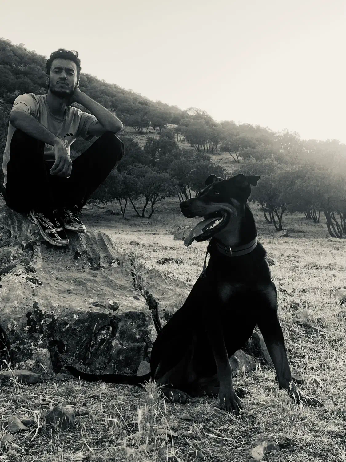 سگ دوبرمن رتوایلر میکس حرفه ایی(روترمن)|سگ|خرم‌آباد, |دیوار