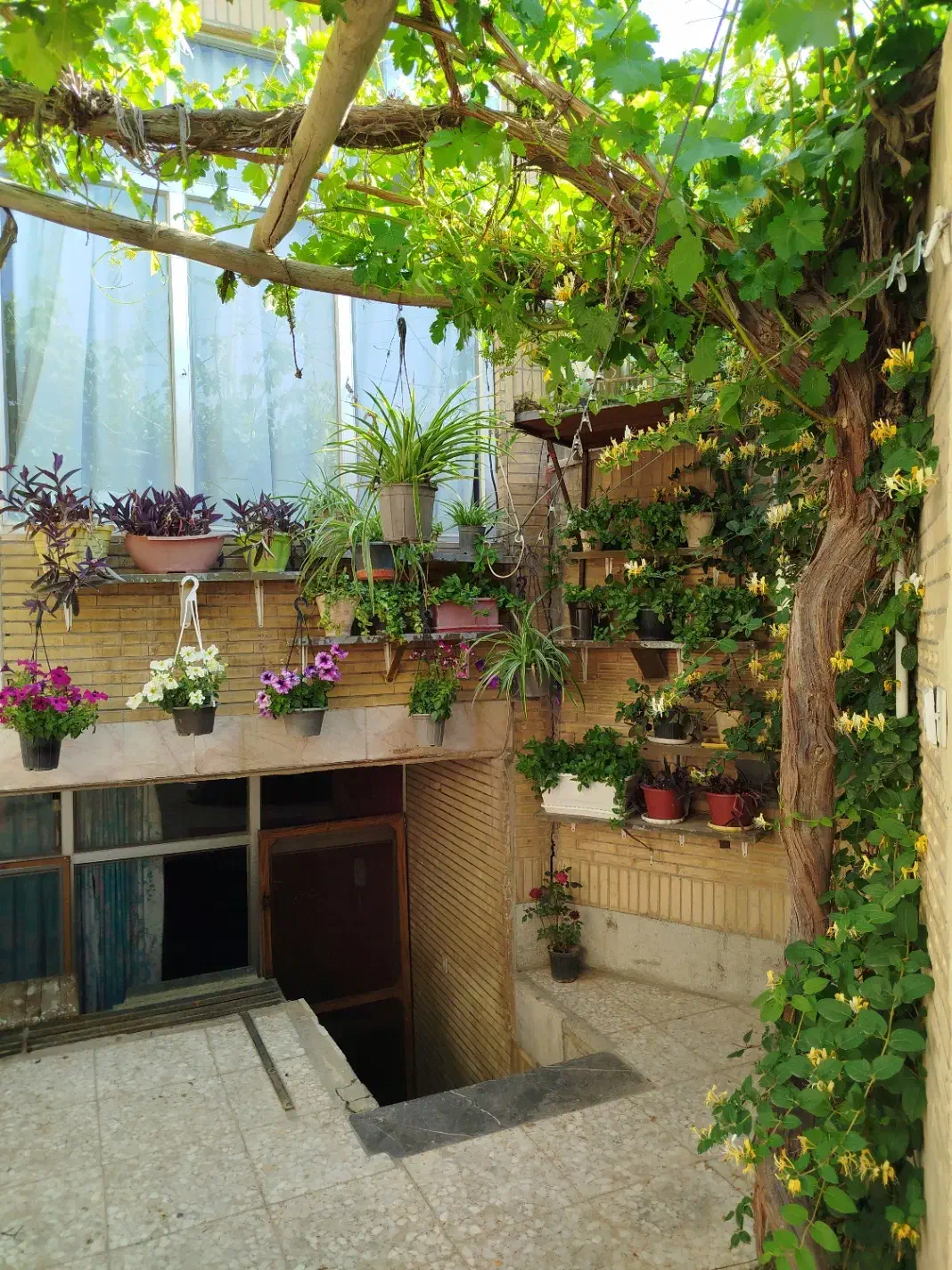 منزل حیاط دارمشین رو|اجارهٔ کوتاهمدت آپارتمان و سوئیت|اصفهان, بوستان ناژوان|دیوار