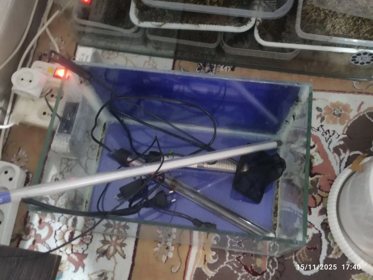 آکواریم شیشه خم|ماهی|کرج, خرمدشت|دیوار