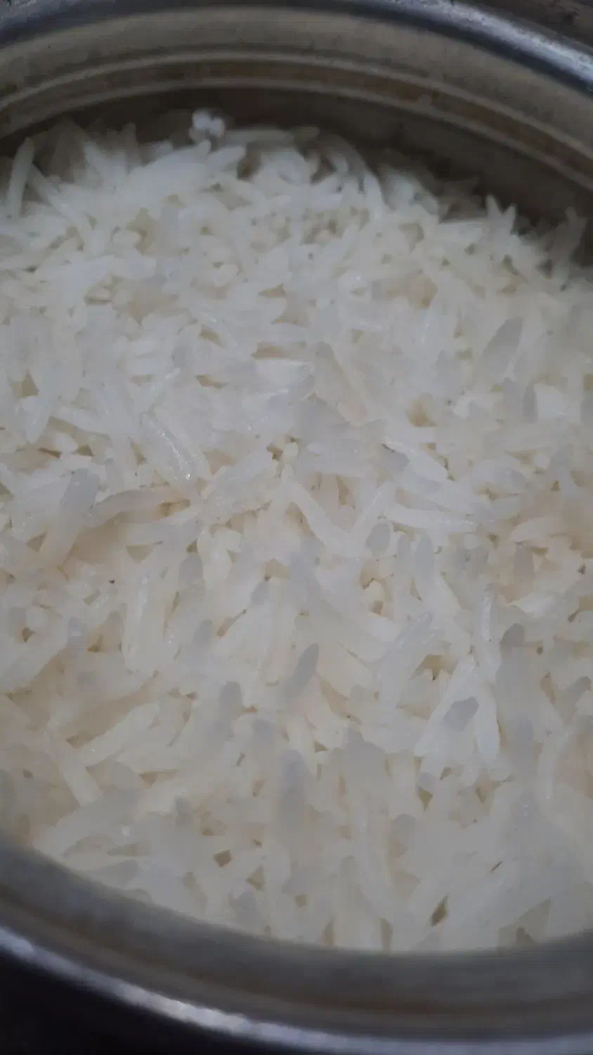 برنج هاشمی|خوردنی و آشامیدنی|بندر انزلی, لیچارگی حسن رود|دیوار