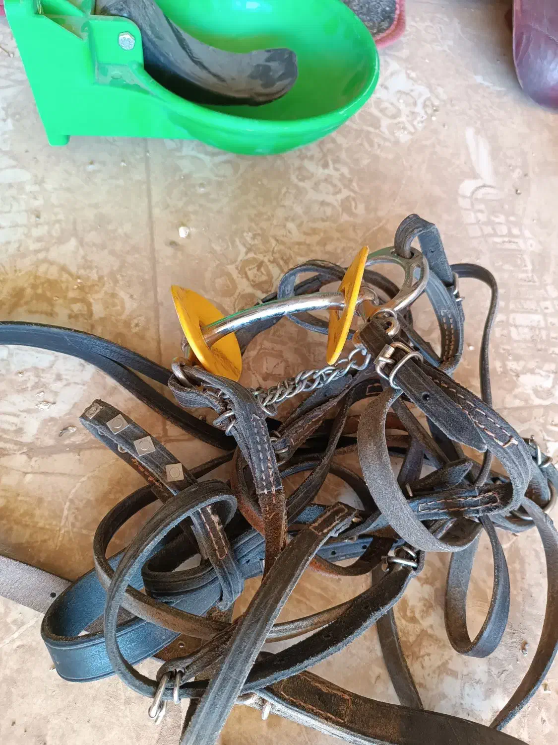 لوازم کامل سوارکاری|اسب و تجهیزات اسب‌سواری|میبد, |دیوار