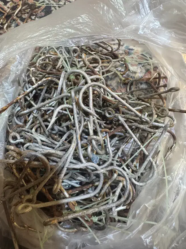 قلاب ماهیگیری ۳و۴|ماهیگیری|قشم, |دیوار