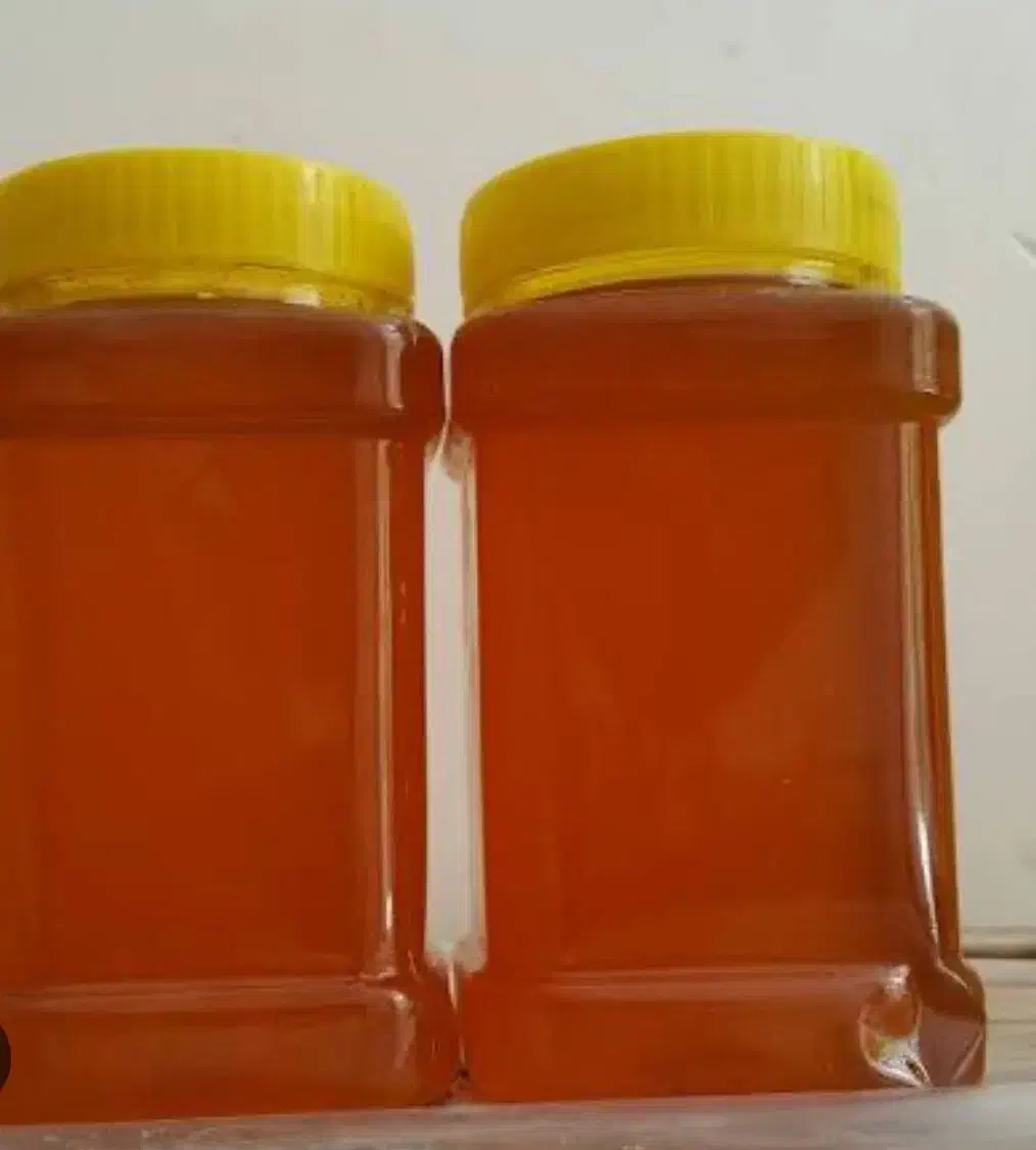 شیره عسل طبیعی|حراج|پیرانشهر, |دیوار