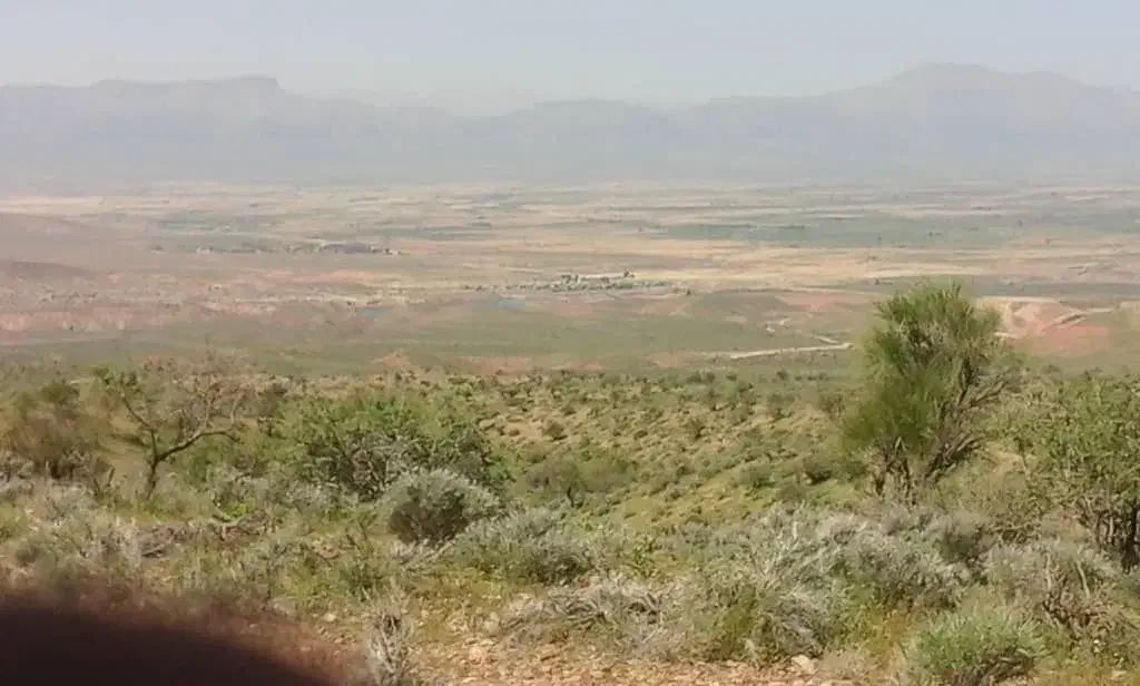 سرمایه برای دامداری|فعالیت داوطلبانه|سروستان, |دیوار