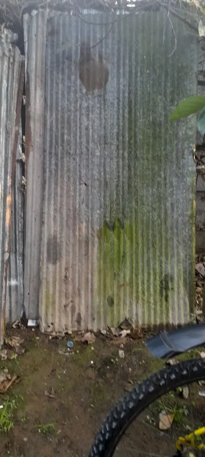 حلب|مصالح و تجهیزات ساختمان|لنگرود, |دیوار