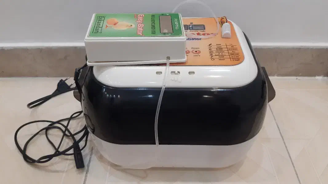 جوجه کشی|لوازم جانبی حیوانات|کرج, شهرک ولیعصر|دیوار