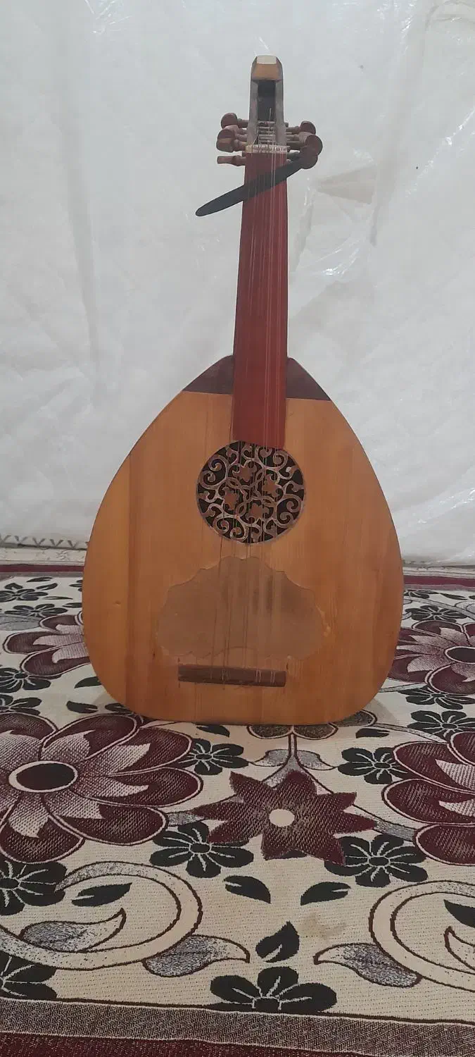 عود عراقی سالم|سازهای سنتی|قشم, |دیوار