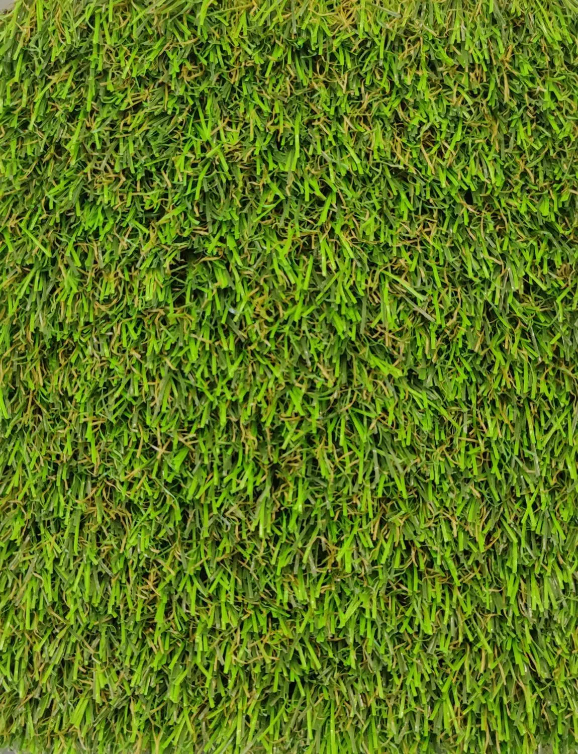 چمن مصنوعی رویال دو بافت پاییزه|عمده‌فروشی|اصفهان, تخت فولاد|دیوار