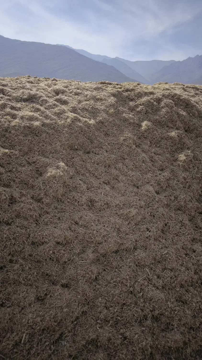 کاه لوبیا|لوازم جانبی حیوانات|اقلید, |دیوار