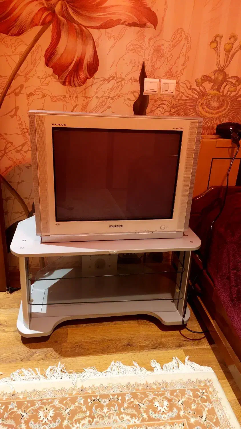 تلویزیون سامسونگ ۲۹ اینچ کره ای|تلویزیون و پروژکتور|رشت, کاکتوس|دیوار