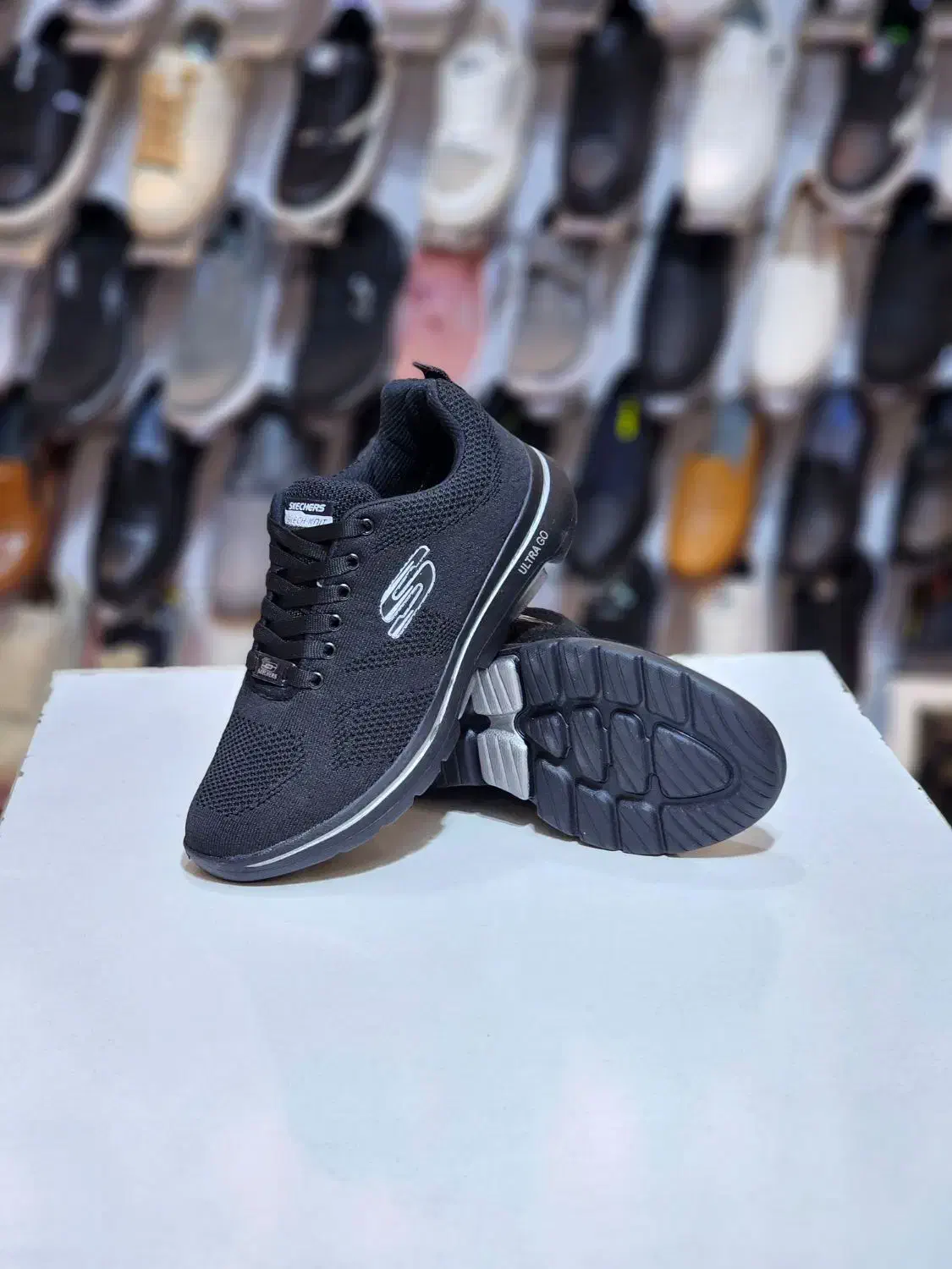 انواع کفش اسکچرز مردانه و زنانه|کیف، کفش، کمربند|اصفهان, تخت فولاد|دیوار