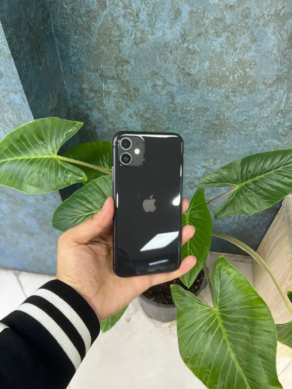 ایفون ۱۱ نرمال|موبایل|کرج, اصفهانیها|دیوار