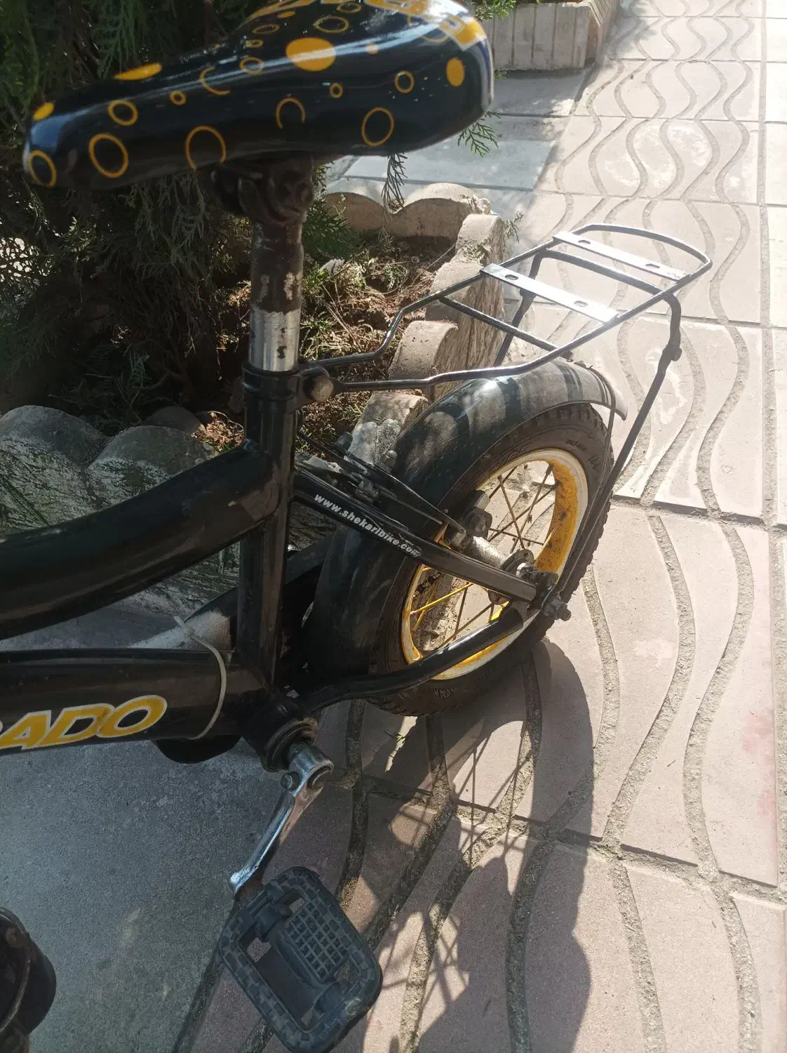 دوچرخه سایز ۱۲|دوچرخه، اسکیت، اسکوتر|بندر انزلی, پردیس|دیوار