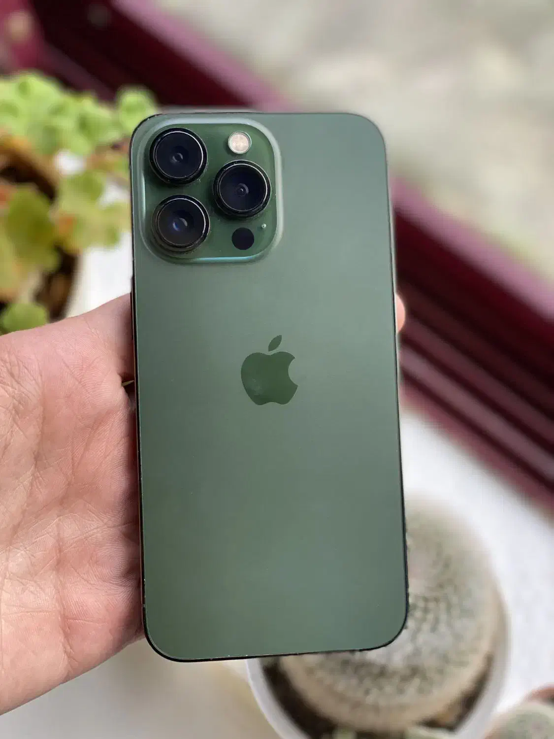 ایفون13پرو 256 پلمپ|موبایل|گلوگاه بابل (گلیا), |دیوار