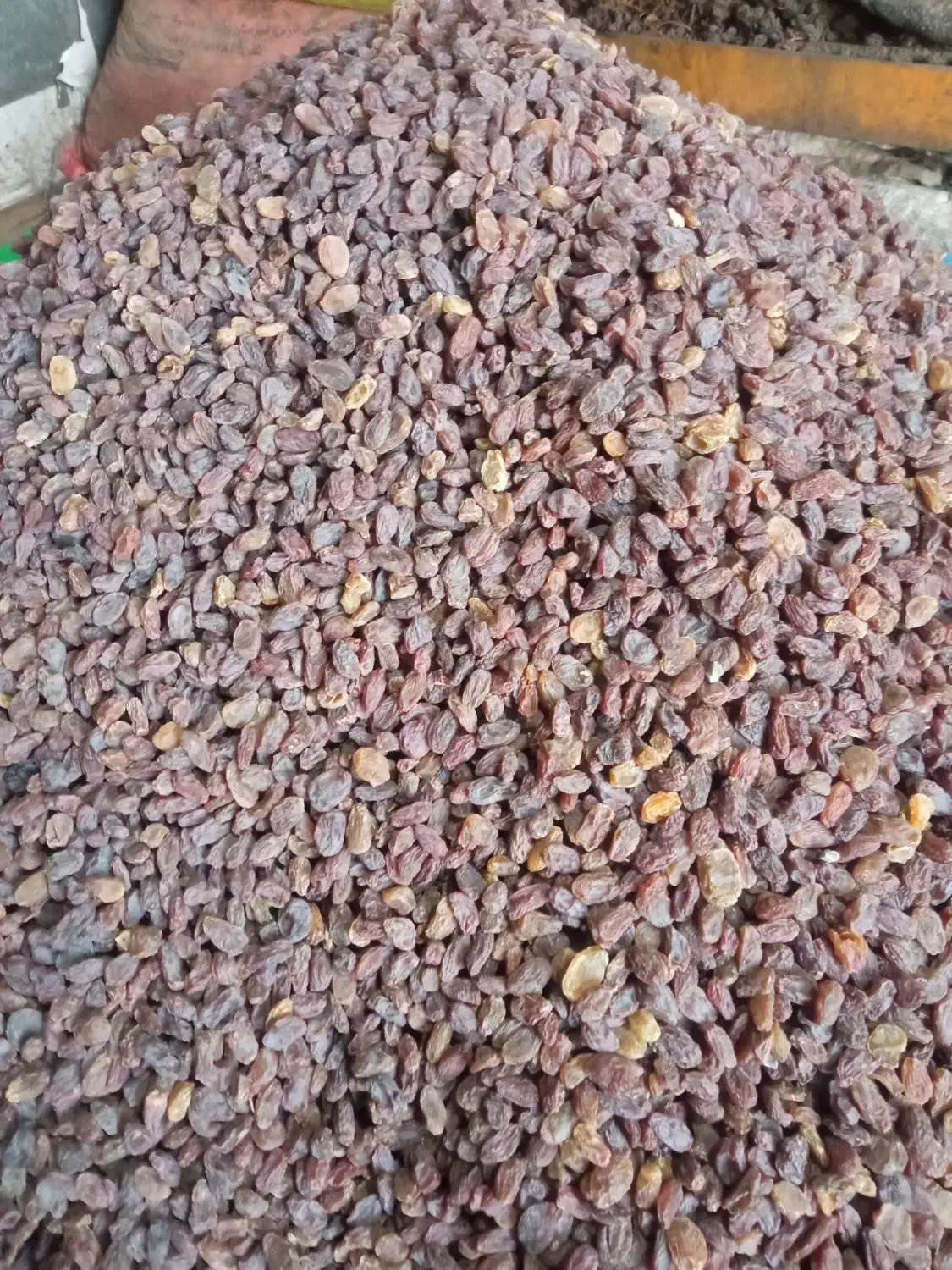 کشمش آفتابی اصل بوانات|خوردنی و آشامیدنی|شیراز, کوشک میدان|دیوار