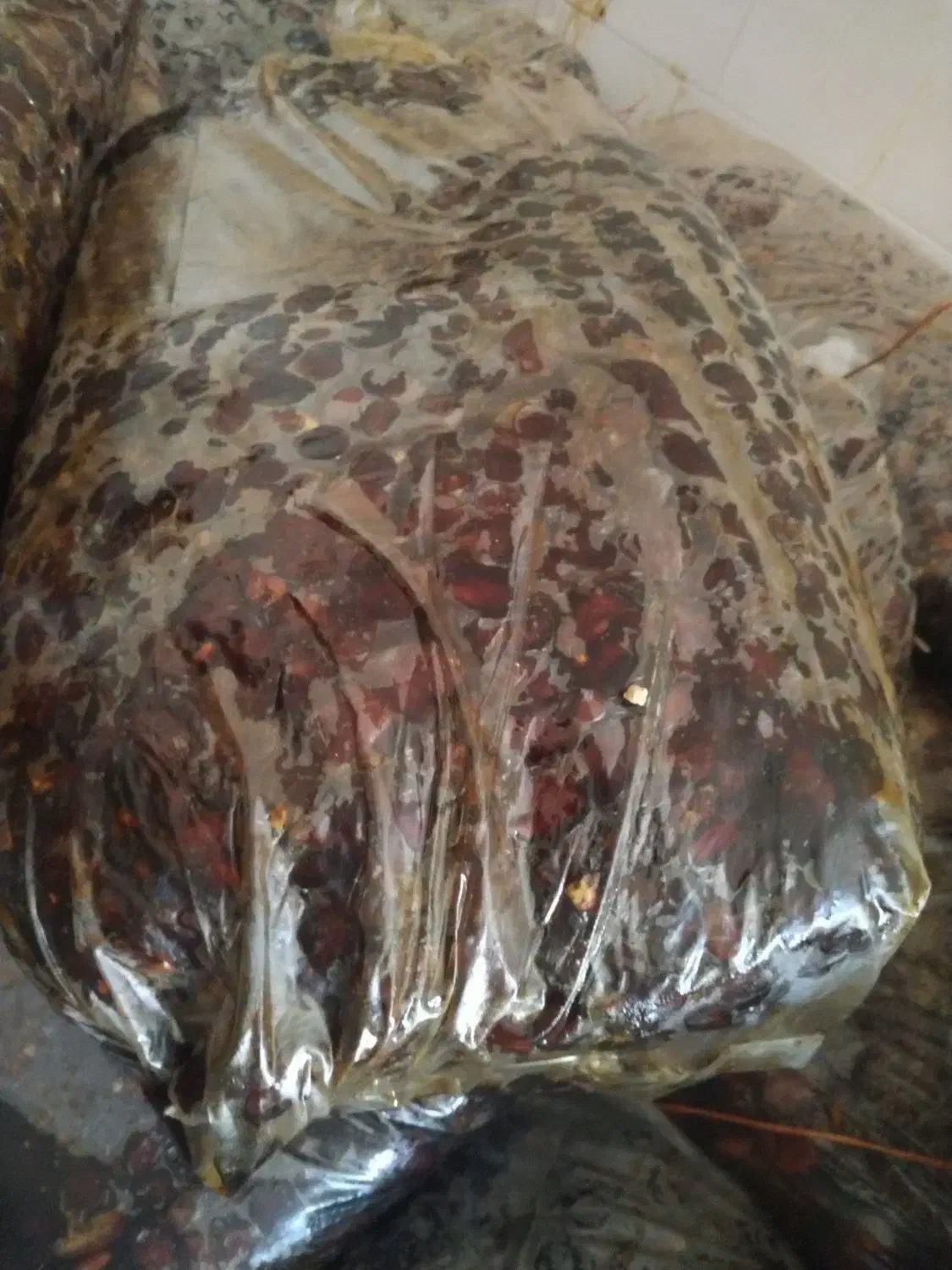 ضایعات خرما 15 تن|عمده‌فروشی|برازجان, |دیوار