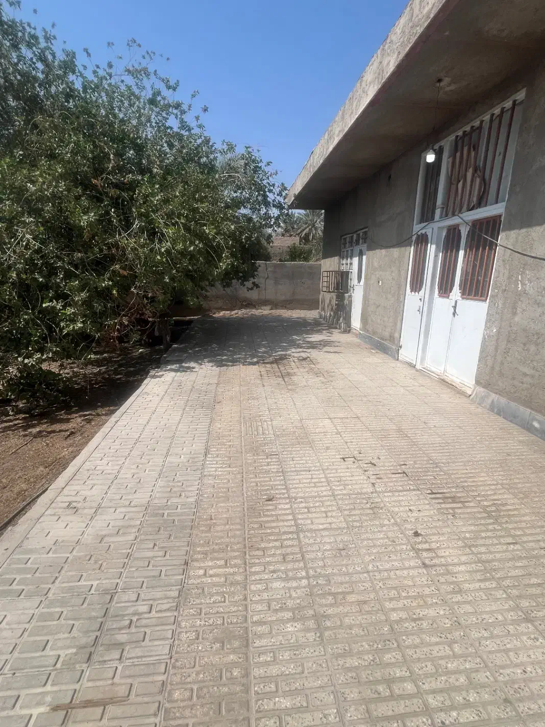 ملک اجاره ای|اجارهٔ خانه و ویلا|جیرفت, |دیوار