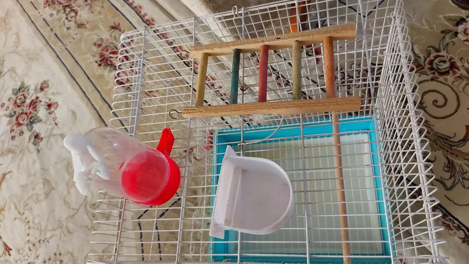 قفس پرنده|لوازم جانبی حیوانات|مشکیندشت, |دیوار