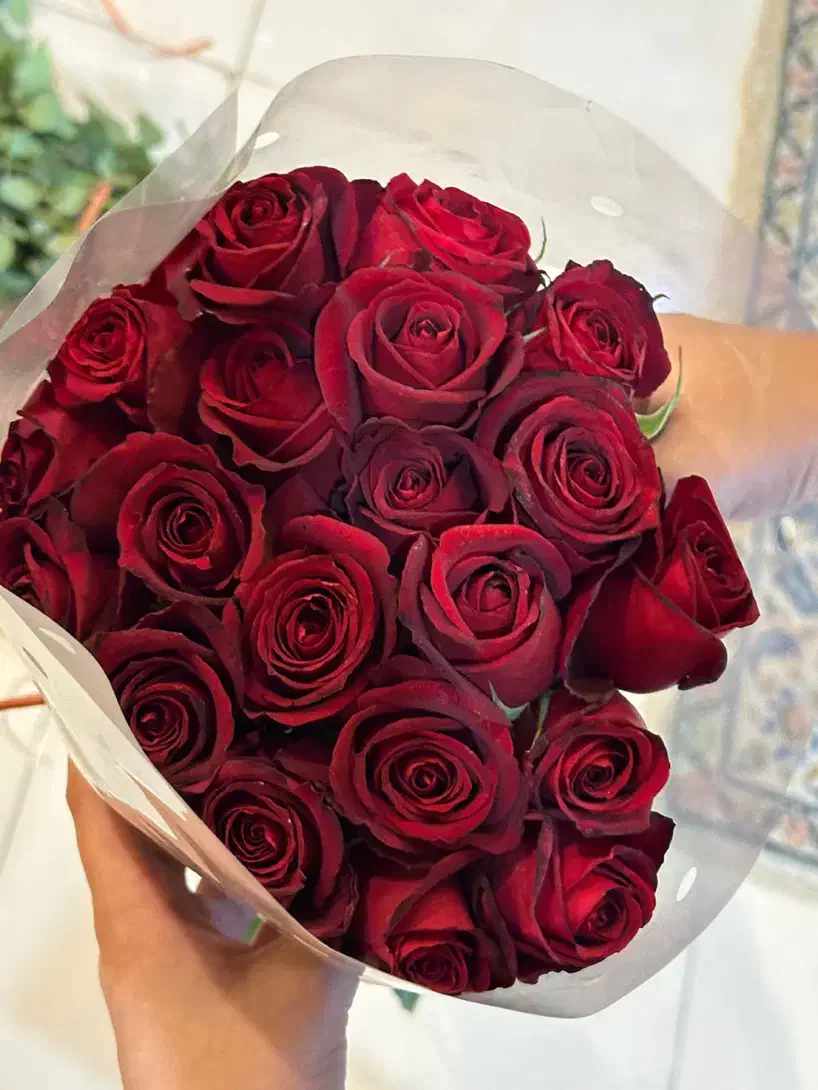 رز هلندی|گل و گیاه طبیعی|کرج, اصفهانی‌ها|دیوار