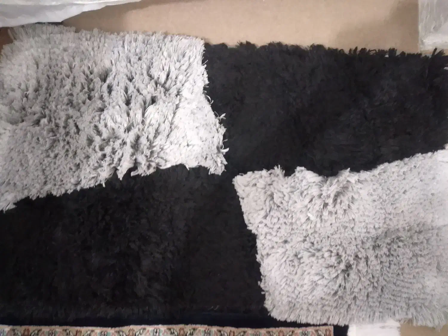 پادری نو وجدید|پادری|کرمانشاه, |دیوار