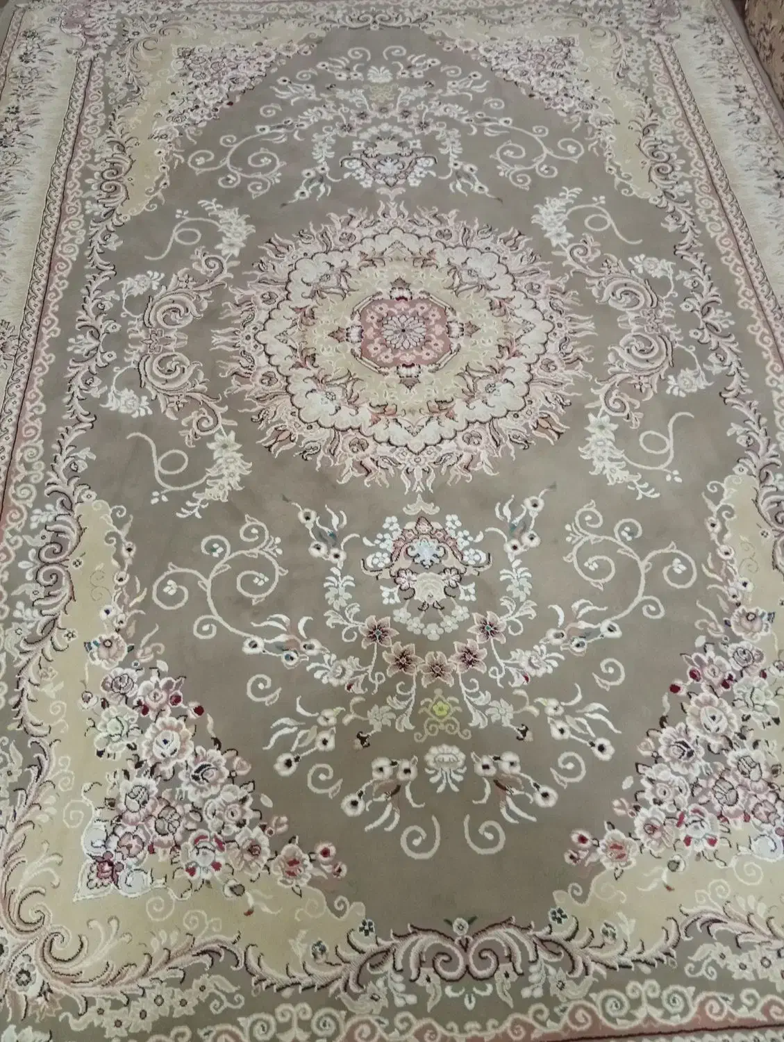 فرش نگین مشهد|فرش|قزوین, |دیوار