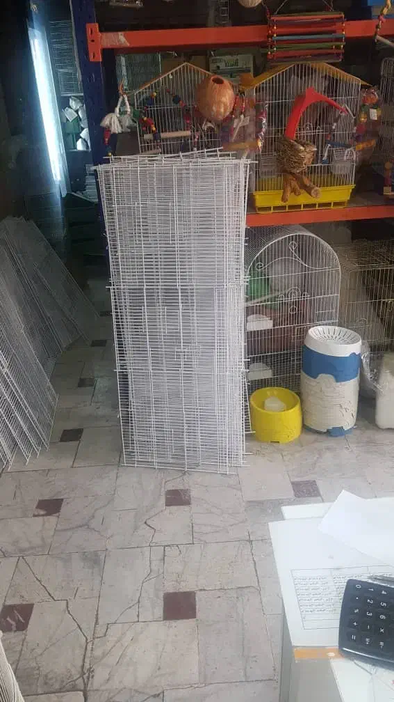 پرنده فروشی ققنوس|پرنده|دوگنبدان, |دیوار