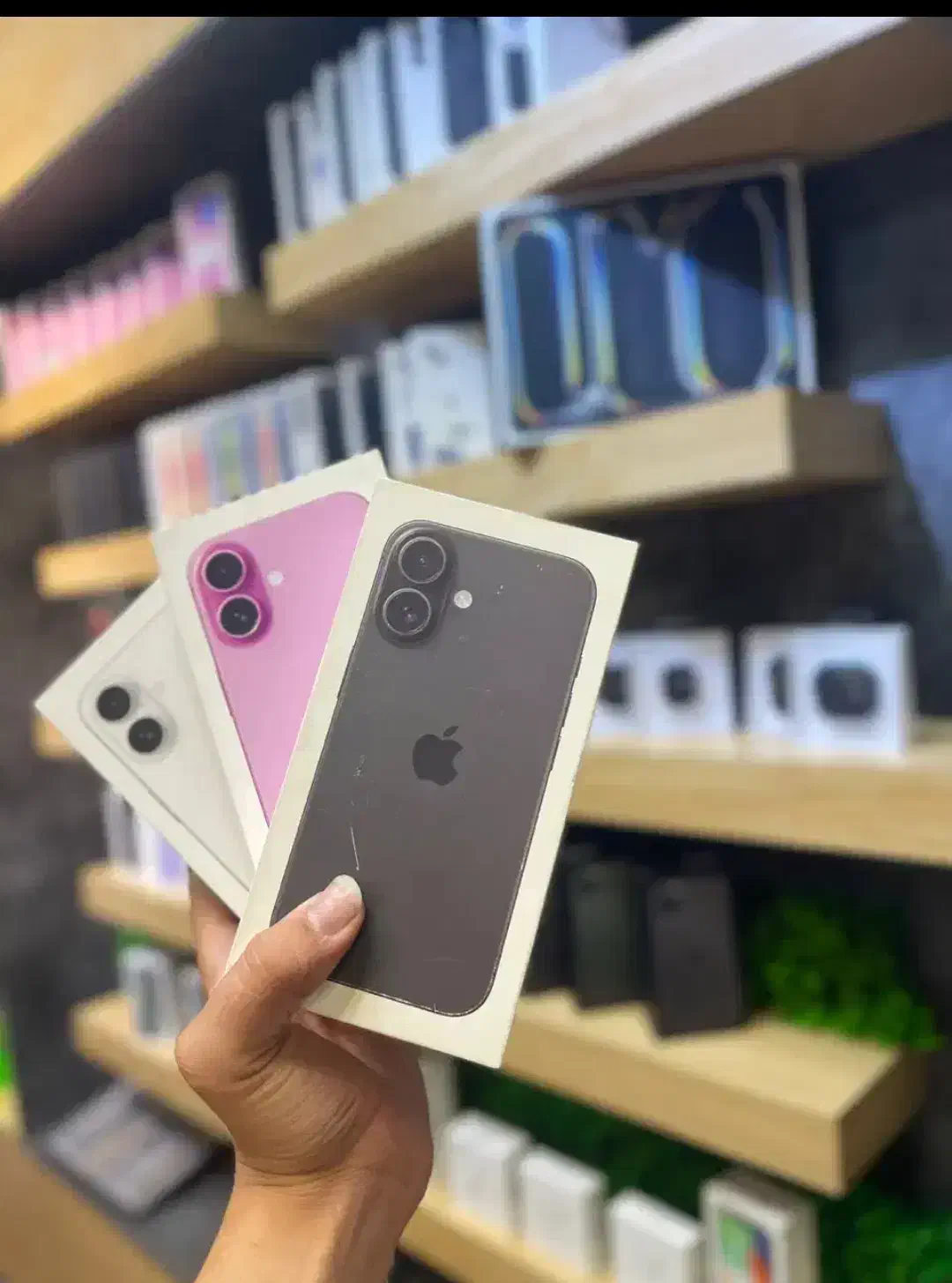 آیفون ۱۶ نرمال|موبایل|تهران, شهرک طالقانی|دیوار