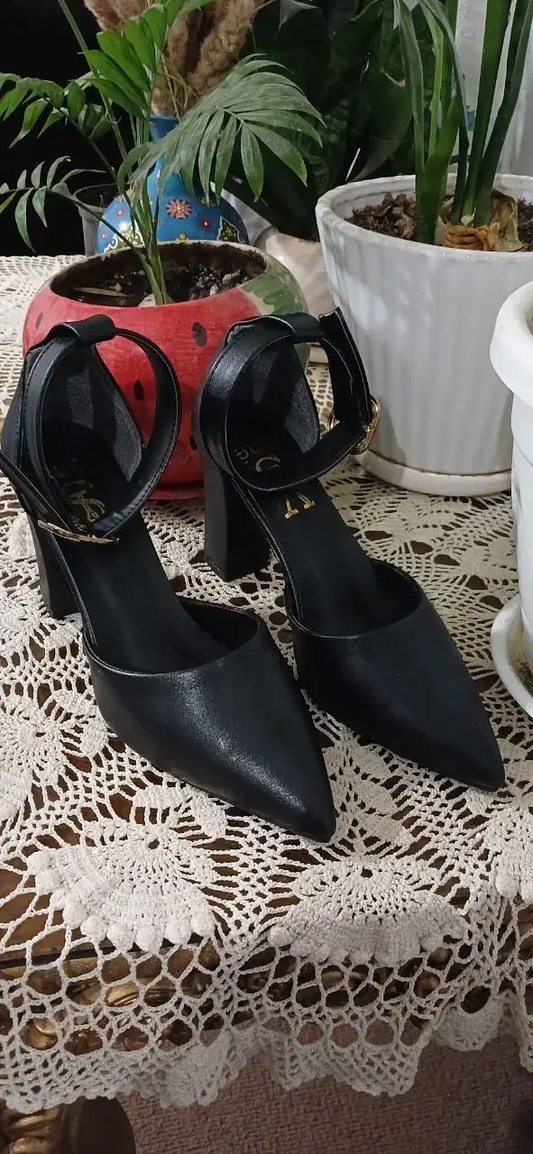 کفش مجلسی|کیف، کفش، کمربند|رودسر, |دیوار