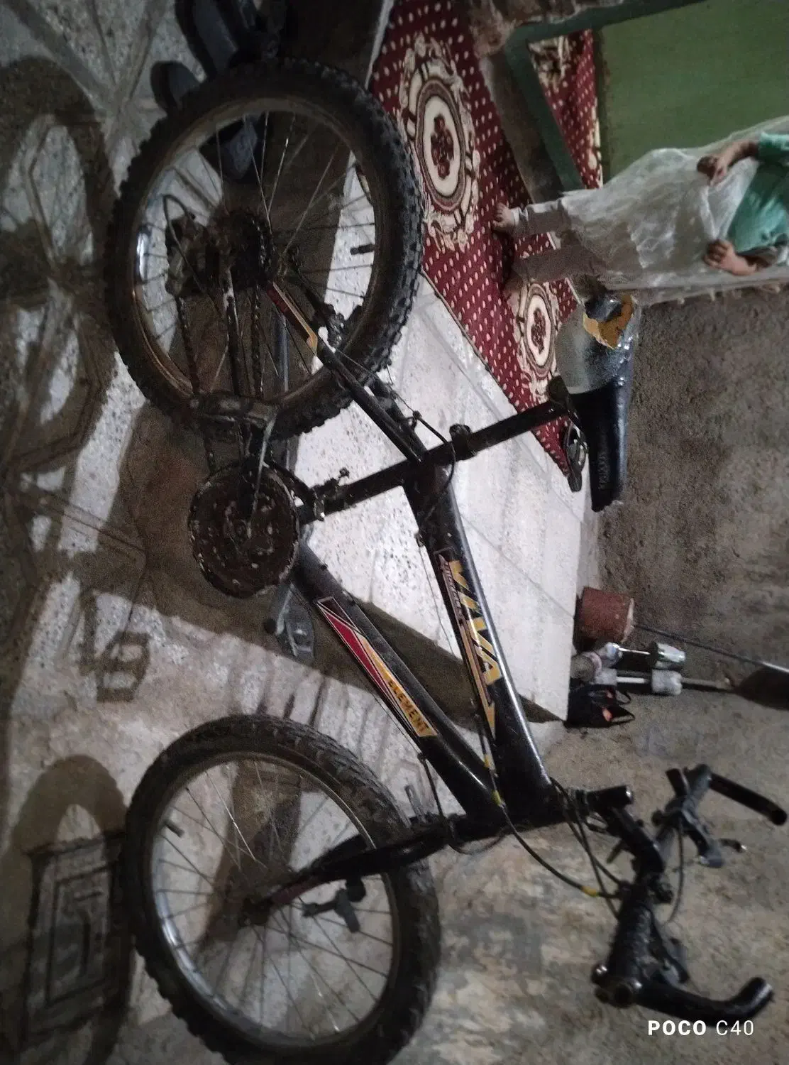 دوچرخه ساییز20|دوچرخه، اسکیت، اسکوتر|اسفراین, |دیوار