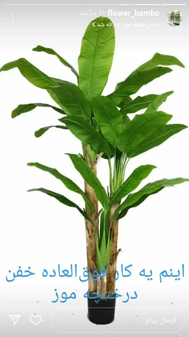 انواع درختچه و گل تزیینی و آویز|گل مصنوعی|ملایر, |دیوار