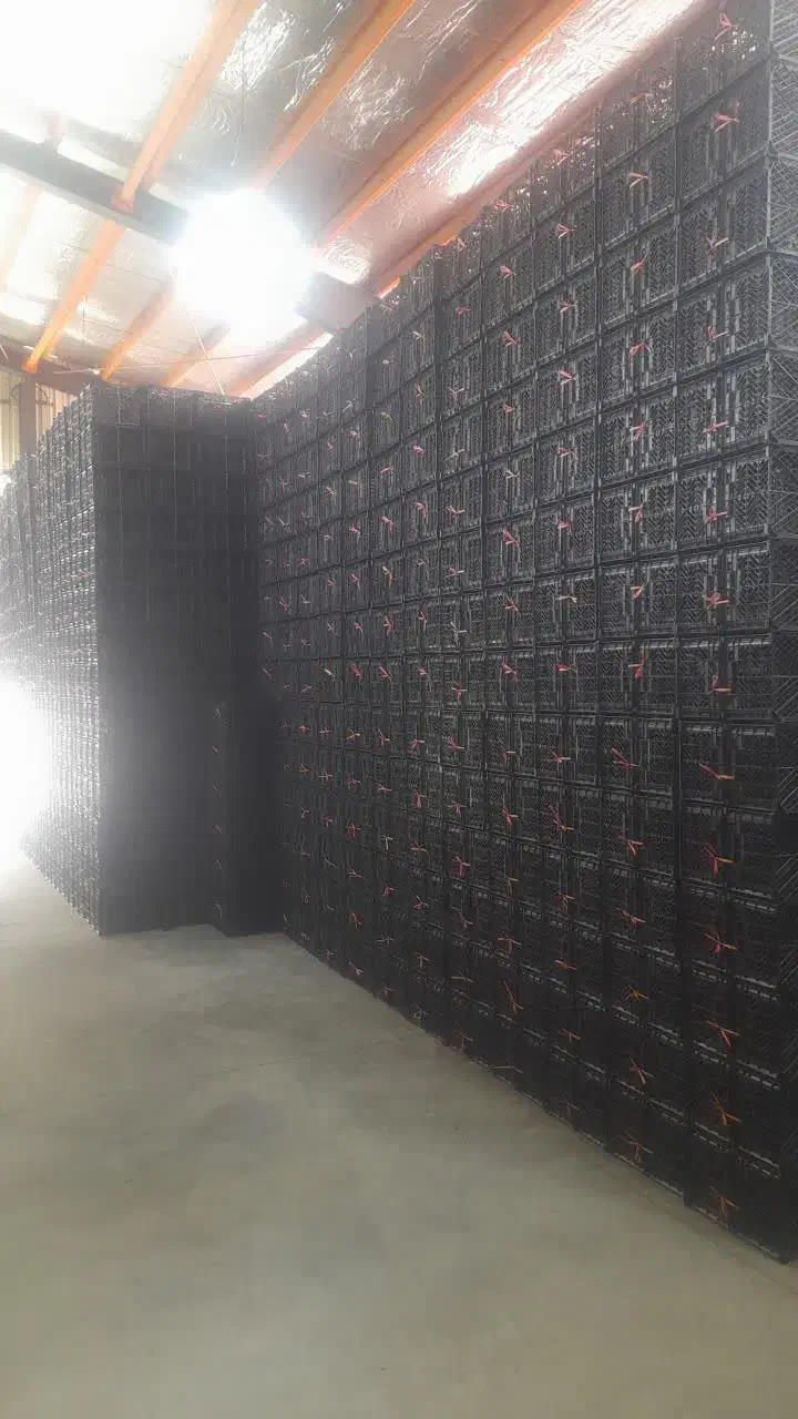 سبد ۱۰ کیلویی|ظروف نگهدارنده، پلاستیکی، یکبارمصرف|شیراز, شهرک صنعتی شیراز|دیوار