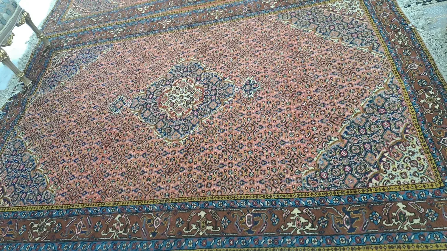 فرش دستباف ریزه ماهی|فرش|اردبیل, |دیوار