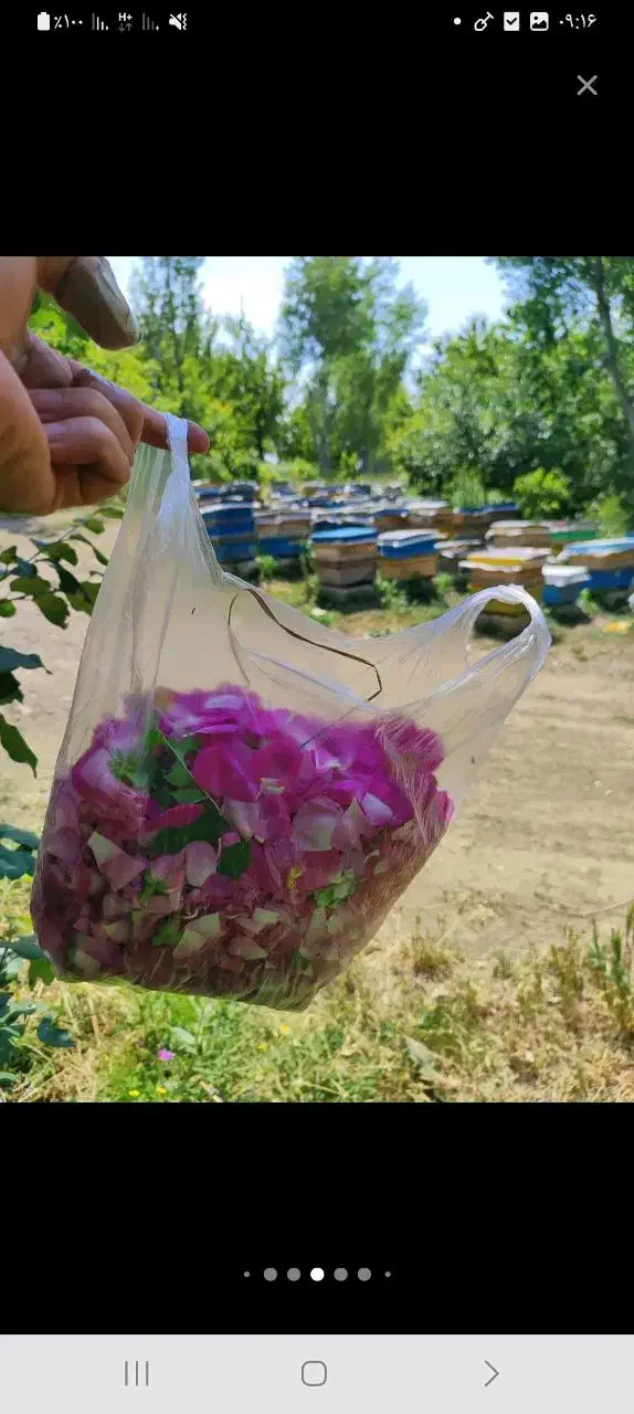 عسل بهاری ومحلی سبلان اردبیل|خوردنی و آشامیدنی|صفادشت, |دیوار