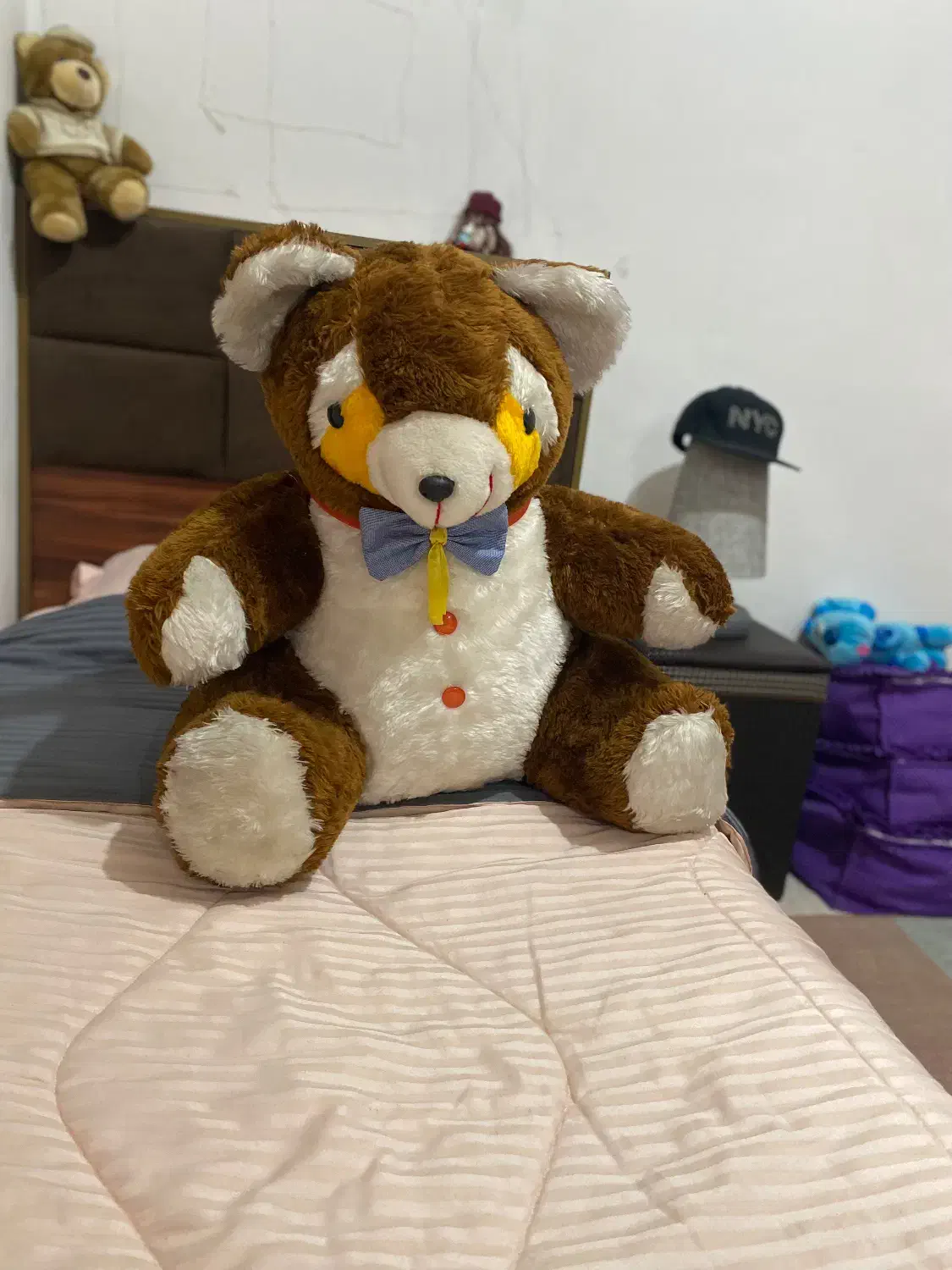 خرس|اسباببازی|نور, |دیوار