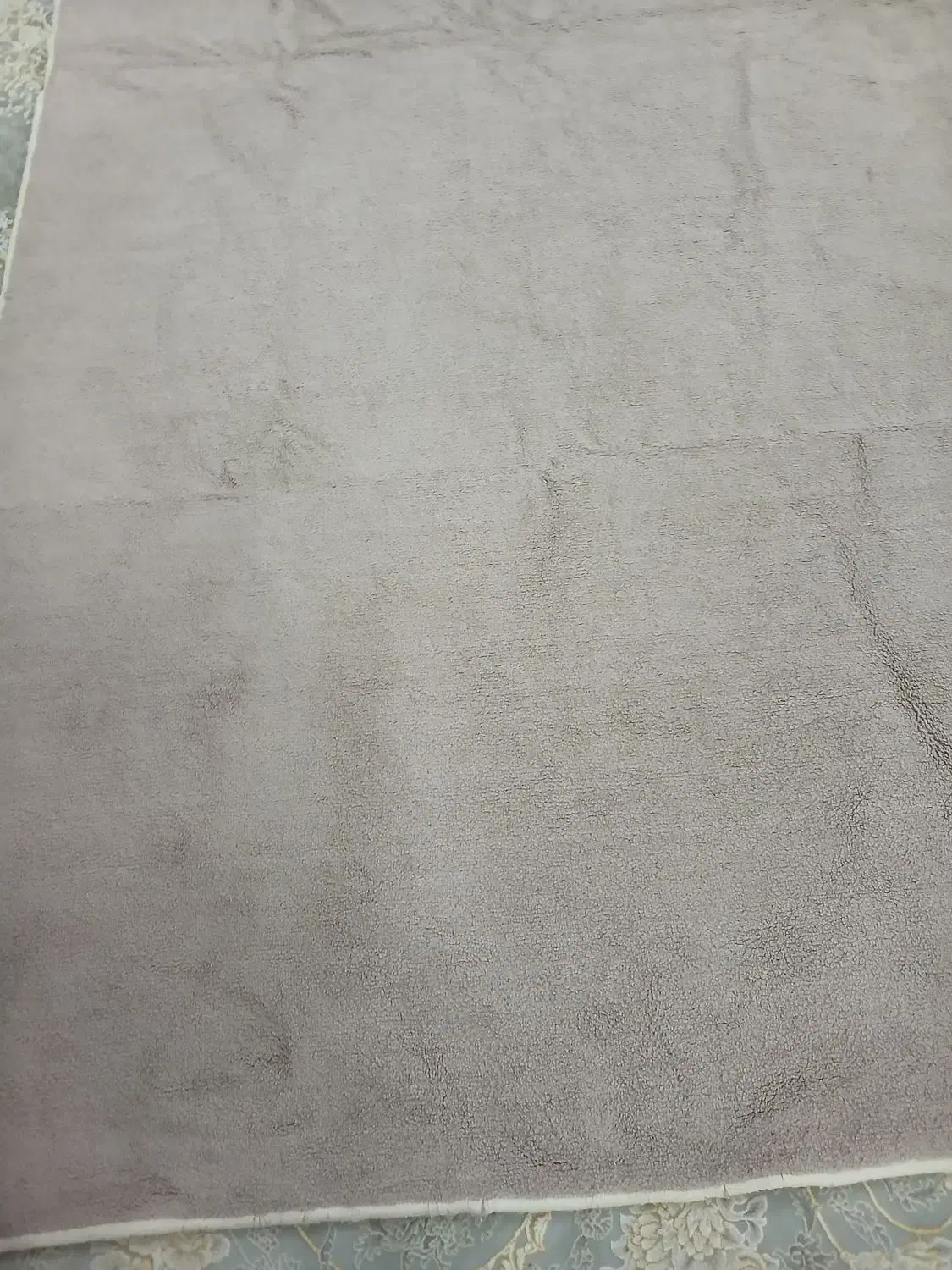 پلاسموکت|موکت|سرپل ذهاب, |دیوار