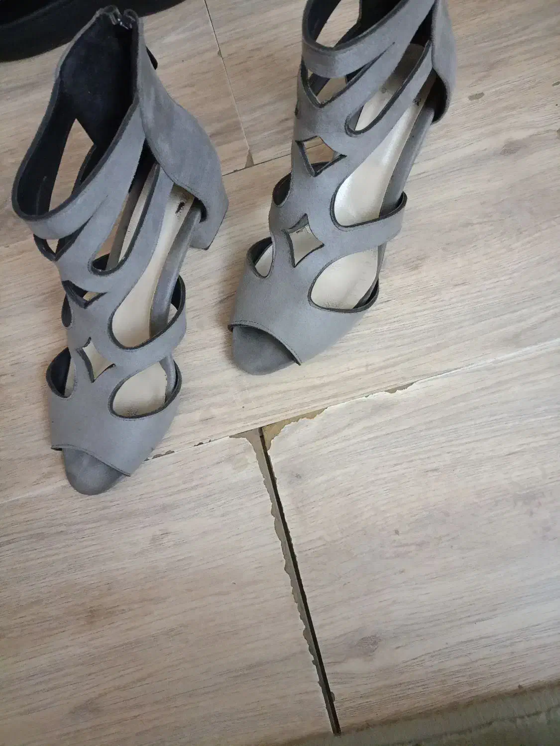 کفش و کیف|کیف، کفش، کمربند|مشهد, شریف|دیوار