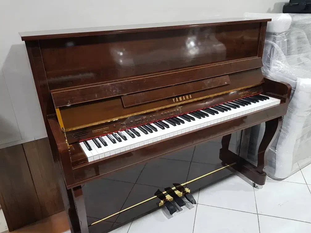 پیانو آکوئستیک|پیانو، کیبورد، آکاردئون|شیراز, پارک آزادی|دیوار