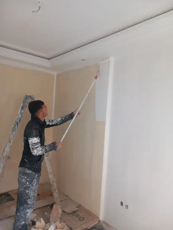 نقاشی ساختمان رنگ آمیزی تمام نقاط تهران وحومه|خدمات پیشه و مهارت|تهران, اختیاریه|دیوار