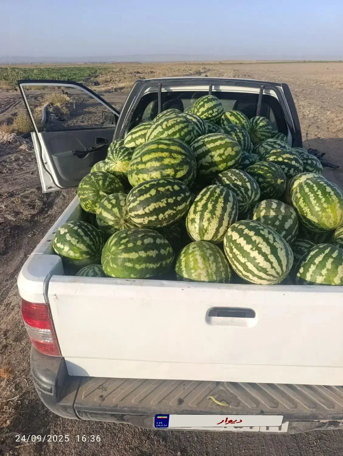 پراید وانت|خودرو سواری و وانت|سبزوار, کراب|دیوار