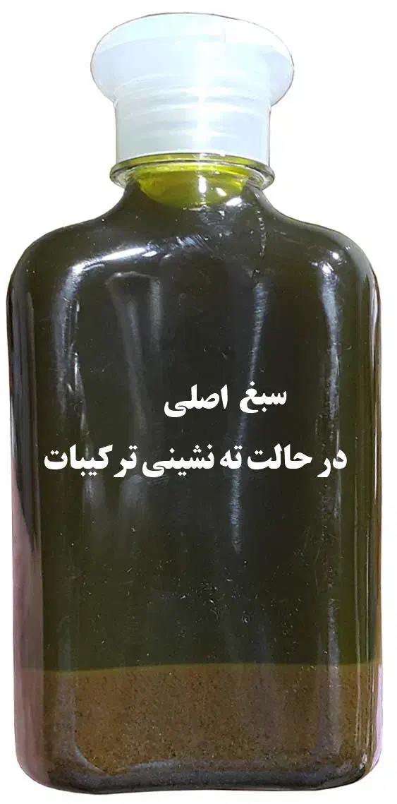 شامپو سبغ اصل|آرایشی، بهداشتی، درمانی|نیشابور, مدرس|دیوار