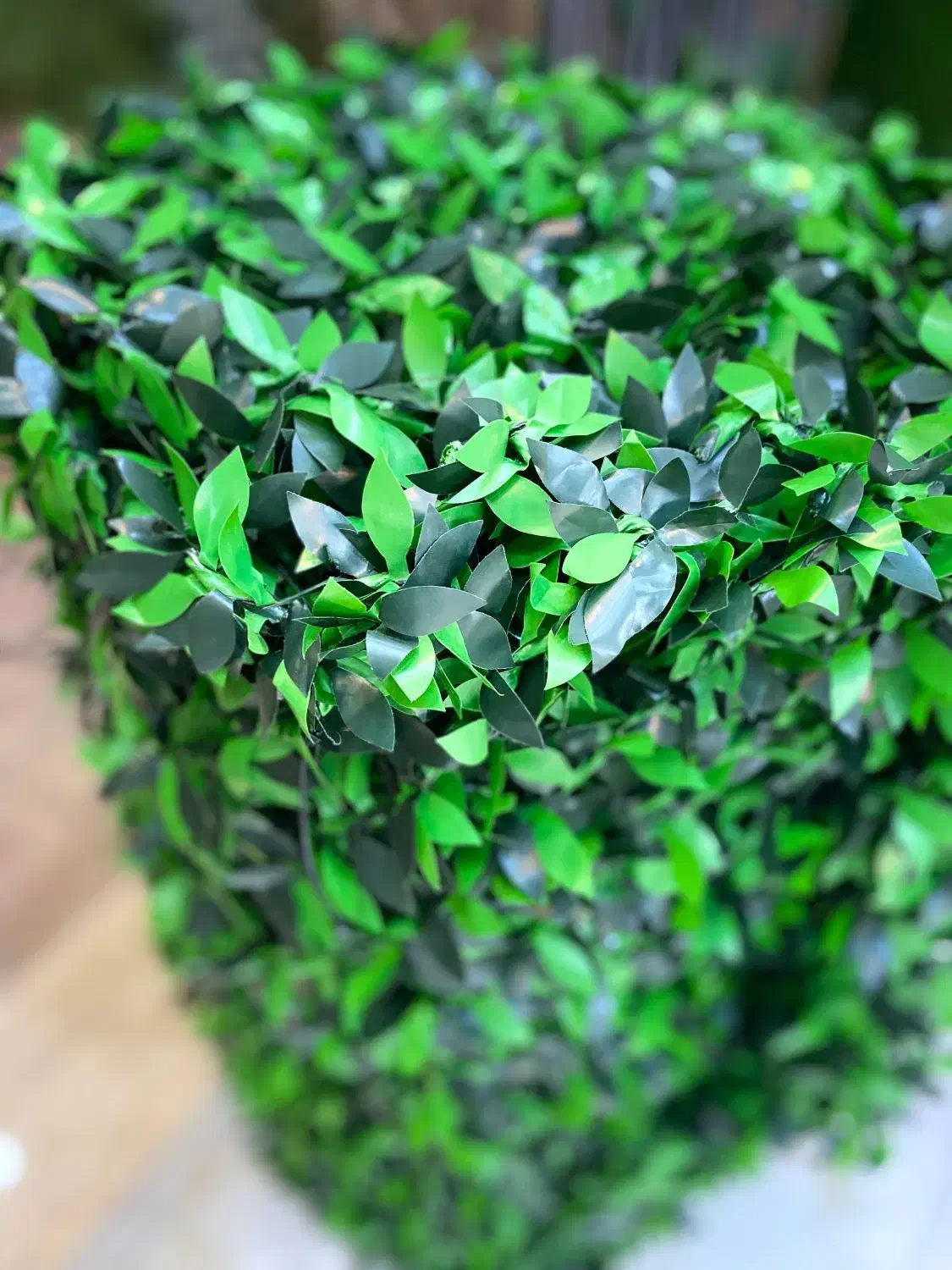 پارکت لمینت، کاغذدیواری، چمن مصنوعی۳۵۰|مصالح و تجهیزات ساختمان|لاهیجان, کوی خزر|دیوار