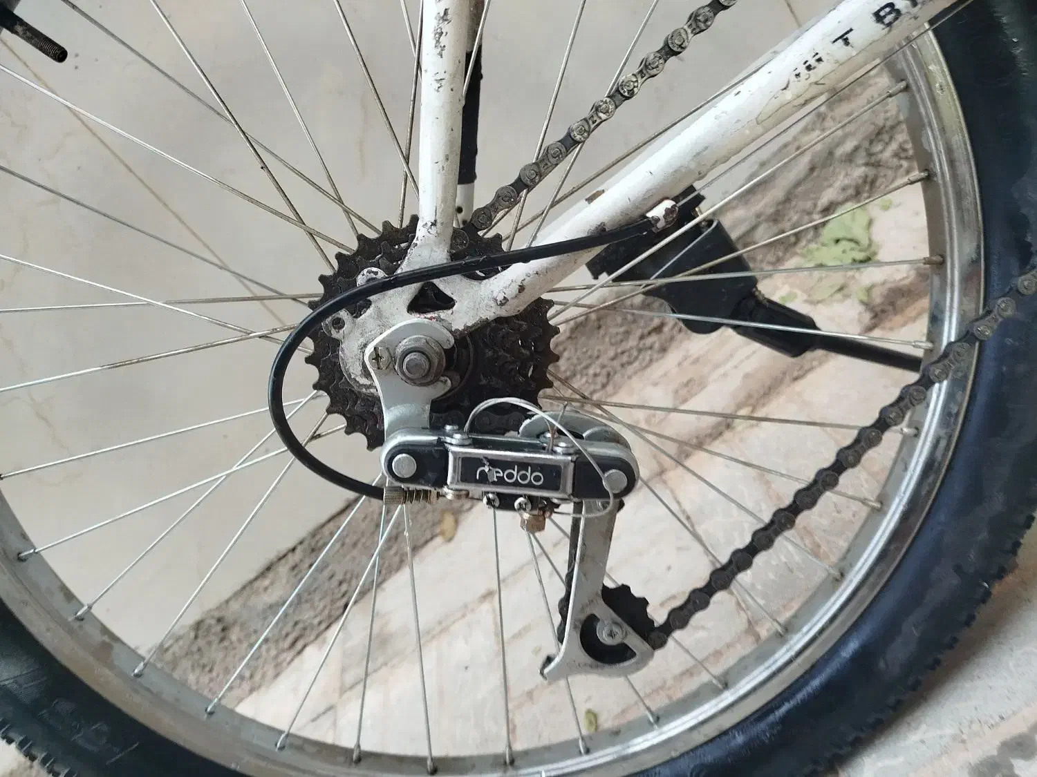 دوچرخه ۲۴ تمیز|دوچرخه، اسکیت، اسکوتر|تربت جام, میان جام|دیوار