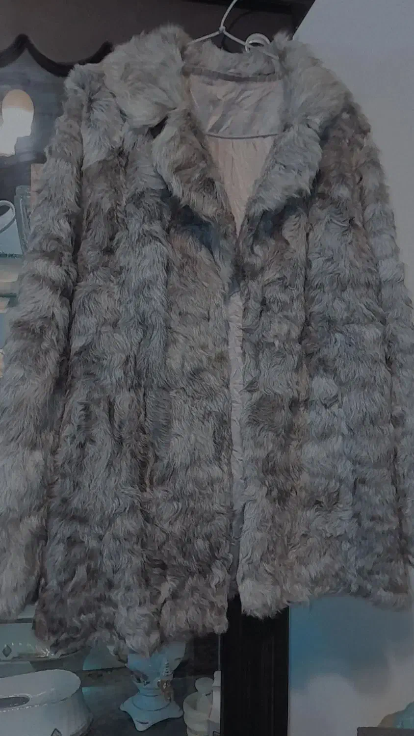 پالتو با پوست طبیعی|لباس|رشت, پستک|دیوار