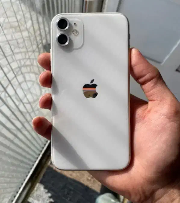 iphone 11 سفید|موبایل|کلارآباد, |دیوار