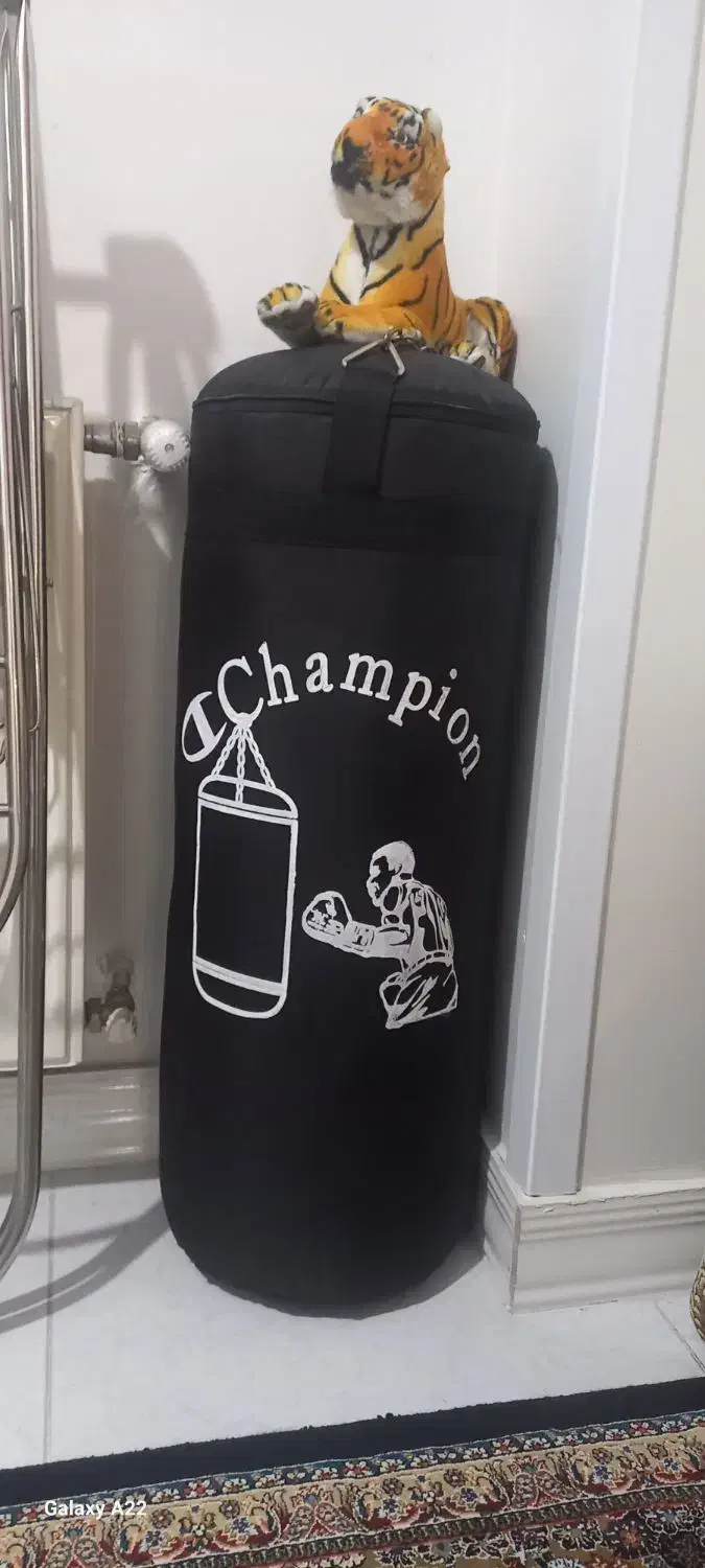 یک جفت پشتی درحد ویک عدد کیسه بوکس نو|پشتی|پردیس, فاز ۸|دیوار