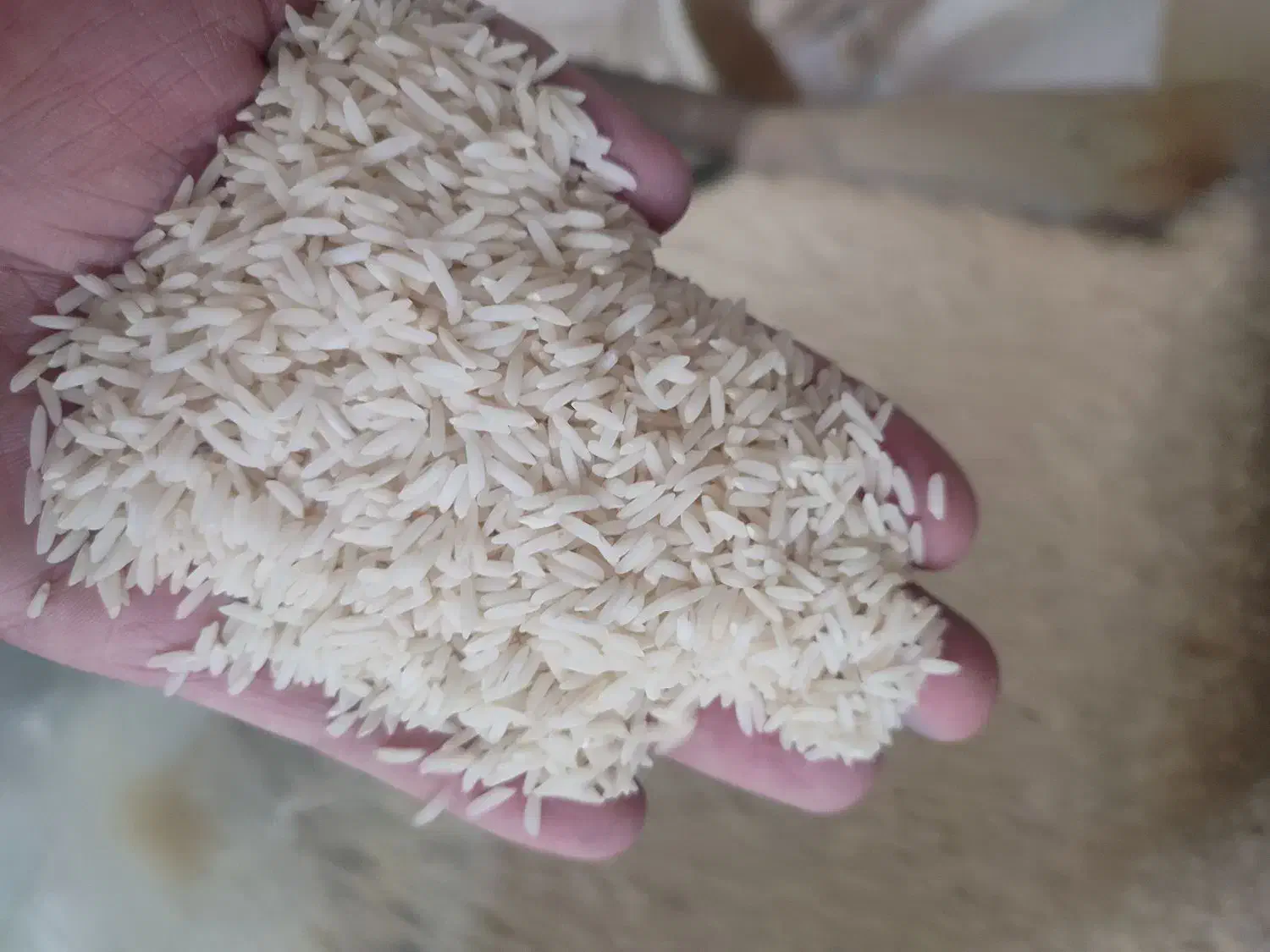 برنج هاشمی ممتاز|خوردنی و آشامیدنی|لیسار, |دیوار